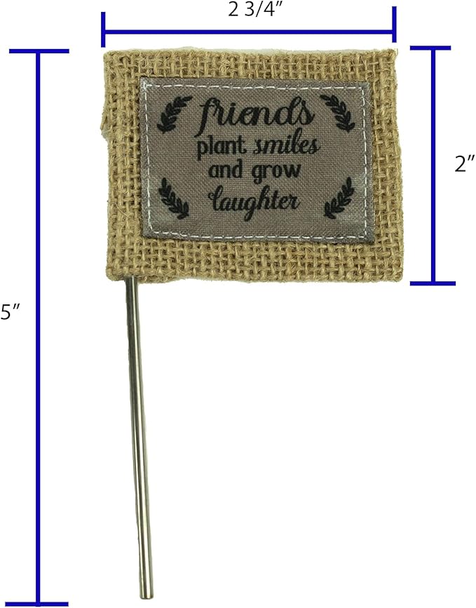 Abbey & CA Gift Friends Plant Smiles Flag Flower Pick