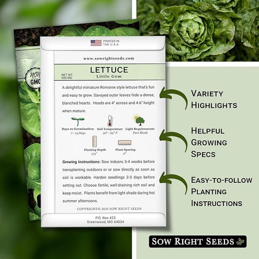 Sow Right Seeds - Little Gem Lettuce Seeds for Planting - Non-GMO Heirloom Packet with Instructions to Plant a Home Vegetable Garden - Outdoors or Indoors Hydroponics - Miniature Romaine Variety (2)