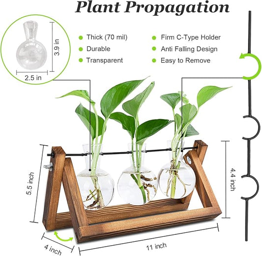 Plant Propagation Stations with Wooden Stand & 3 Glass Bulb Vases - Plant Terrarium for Indoor Plants, Home Office Desk Decor, Gardening Gifts for Women Mom, Birthday Gifts for Plants Lovers