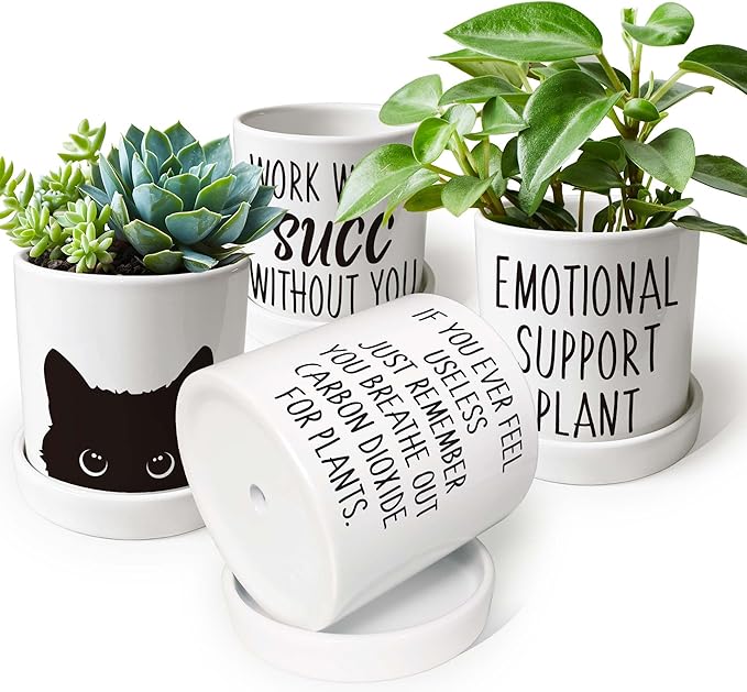 Cute Succulent Pots for Office - If You Ever Feel Useless Just Remember You Breathe Out Carbon Dioxide for Plants, Cute Plant Pots Desk Planter, Funny Pot for Plant