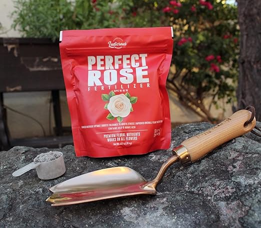 Perfect Rose Fertilizer – Premium Rose and Flower Fertilizers – Floral Nutrients for All Types of Flowers – Plant Nutrients with Kelp for Soil and Hydroponic Flower Gardens