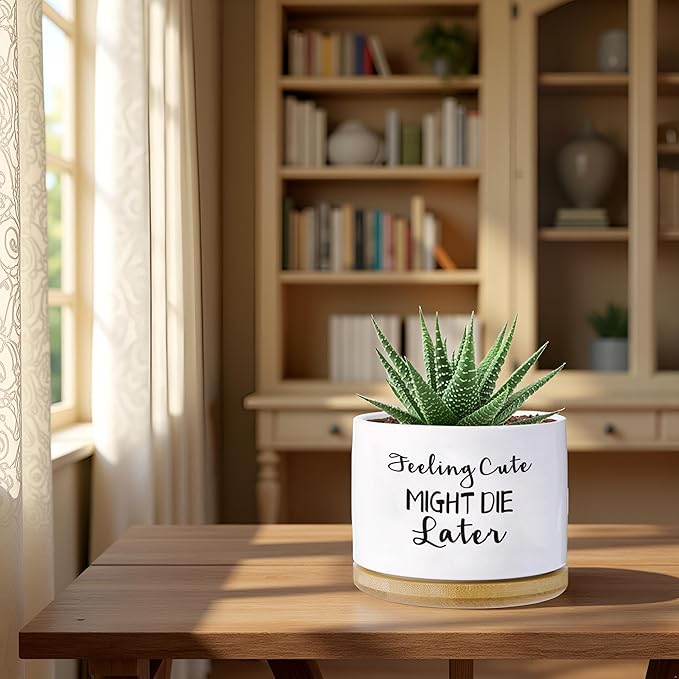 Funny planters for Indoor Plants Garden Succulent Pots, with Drainage Holes and Saucer(No Plants) (Feeling Cute Might Die Later)