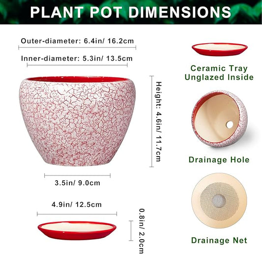 Ceramic Plant Pots - 6 Inch Pots for Plants Indoor Outdoor, Modern Planter with Drainage Hole and Tray, Round Decorative Flower Pot, Home Office Decor, House Warming Gifts, Crackle Red