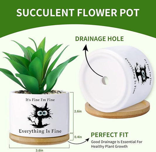 Black cat planters for Indoor Plants,Funny Gifts for Cat Lover,Indoor Plants Garden Planters Succulent Pots, with Drainage Holes and Saucer(No Plants) (Black Cat)