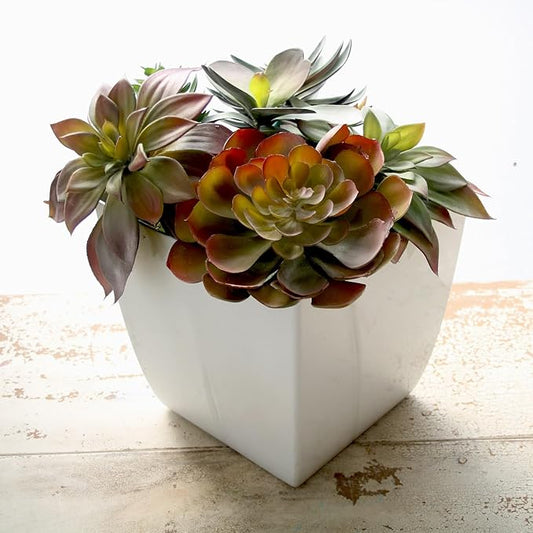 The HC Companies Aria Self Watering Square Plant Pot w/Drainage - Planters for Outdoor Plants & Indoor Plants - Lightweight & UV-Resistant Plastic Pots for Plants (8" Glossy Black, Pack of 2)