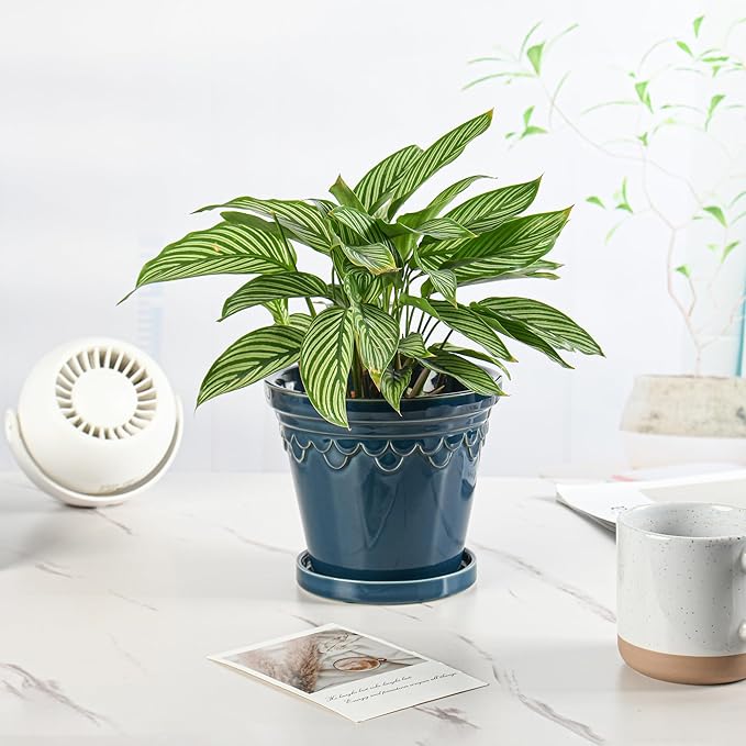 6.3 Inch Ceramic Planter, Plant Pot with Drainage Hole and Saucer, Decorative Glaze Flower Pot for Indoor Plants (Capri Blue)