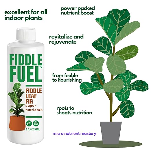 Fiddle Fuel – The Ultimate Fiddle Leaf Fig Premium Plant Fertilizer Liquid Nutrients Super Easy to Use for Fig Trees and Plants (Ficus Lyrata) – 8 oz
