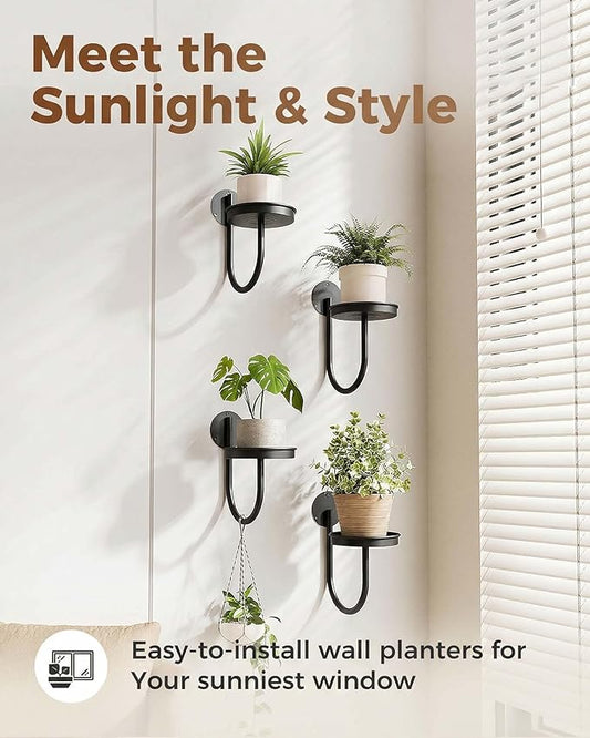 Leaf&lull Wall Plant Holder Planter with Wall Planters for Indoor Plants Plant Hanger Hanging Plant Holder Wall Hanging Decor 4 Pack Black