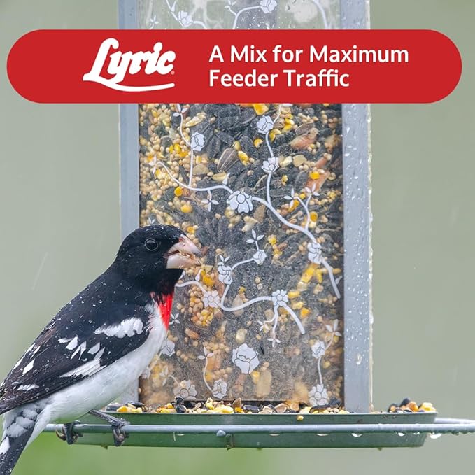 Lyric Supreme Wild Bird Seed - Wild Bird Food Mix with Nuts & Sunflower Seeds for Outside Feeders - Attracts Many Beautiful Songbirds - 4.5 lb bag