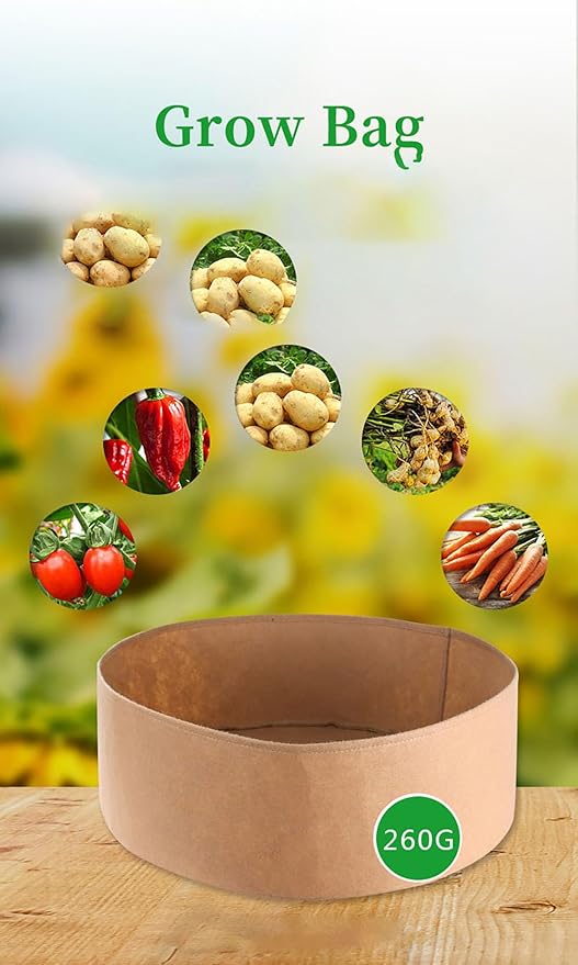 Ulalaza 5PCS Potato Grow Bags with Flap Plant Grow Bags Fabric Multi Ribbon Potato Bag Tomato Vegetable Growth Non-Woven Felt Planting Bag Transparent