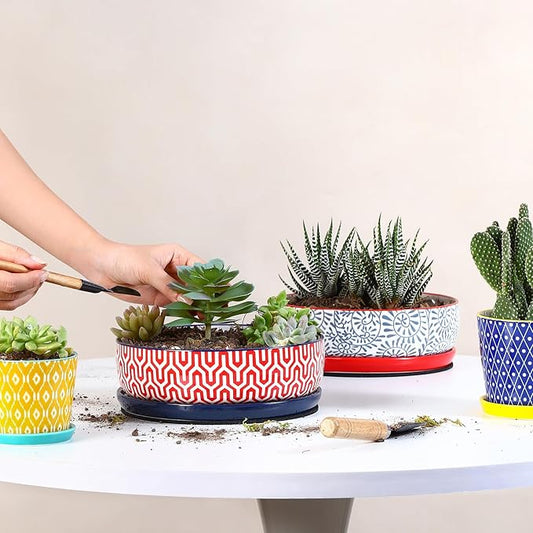 Selamica Ceramic Succulent Pots, Shallow Succulent Planters with Drainage Hole & Saucer, Indoor Plant Pots for Cactus, Home Decor,Assorted Colors,8 inch,Set of 2