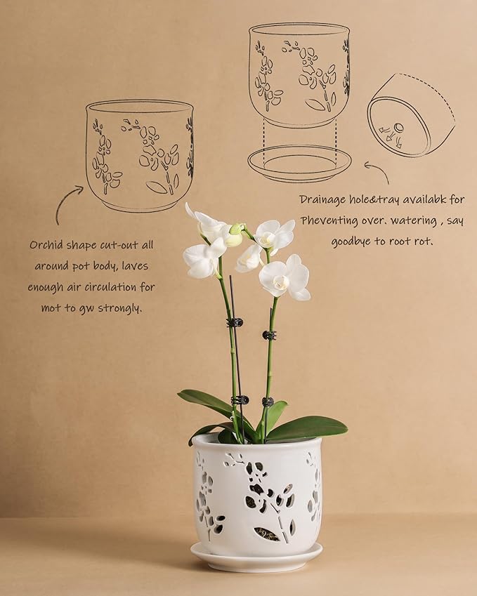 Orchid Pot, 6.5 inch Large Orchid Pots with Holes for Healthy Growth and Easy Repotting, Premium Ceramic Orchid Planter for Indoor and Outdoor Use, (Note : Plant Not Included)