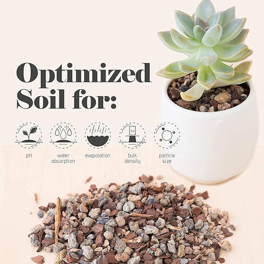 Bonsai Jack Succulent, Cactus and Bonsai Soil - Jacks Gritty Mix - 1 Gallon – Fast Draining – Fight Root Rot – Optimized pH …