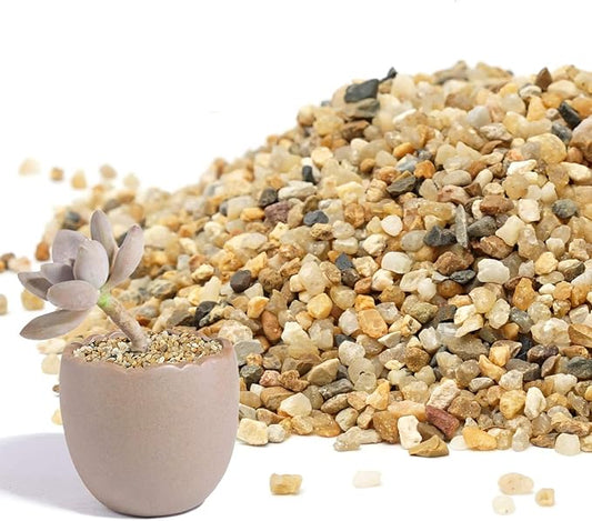 Coarse Sand Stone - Succulents and Cactus Bonsai DIY Projects Rocks, Decorative Gravel for Plants and Vases Fillers,Terrarium, Fairy Gardening, Natural Stone Top Dressing for Potted Plants.1.6lb
