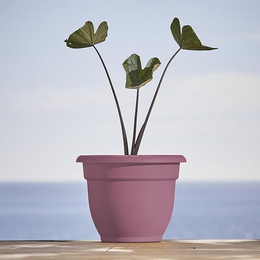 Bloem Ariana 16" Dusty Rose Round Self-Watering Resin Planter Pot - Rolled Rim Indoor and Outdoor Gardening Planter