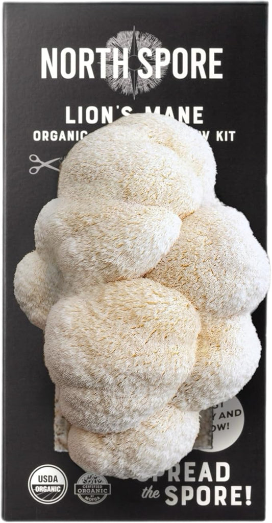 (2-Pack) North Spore Organic Lion's Mane Mushroom Spray & Grow Kits (4 lbs each) | USDA-Certified Organic, Non-GMO, Beginner-Friendly & Easy to Use | Handmade in Maine, USA