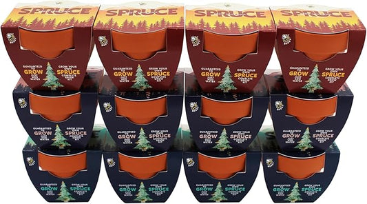 BUZZY Seeds Spruce Tree 12-Pack Mini Terracotta Grow Kits – Sustainable Tree Growing Kit, Includes Everything to Sprout Evergreens, Perfect for Earth Day, Party Favors, or Corporate Gifts