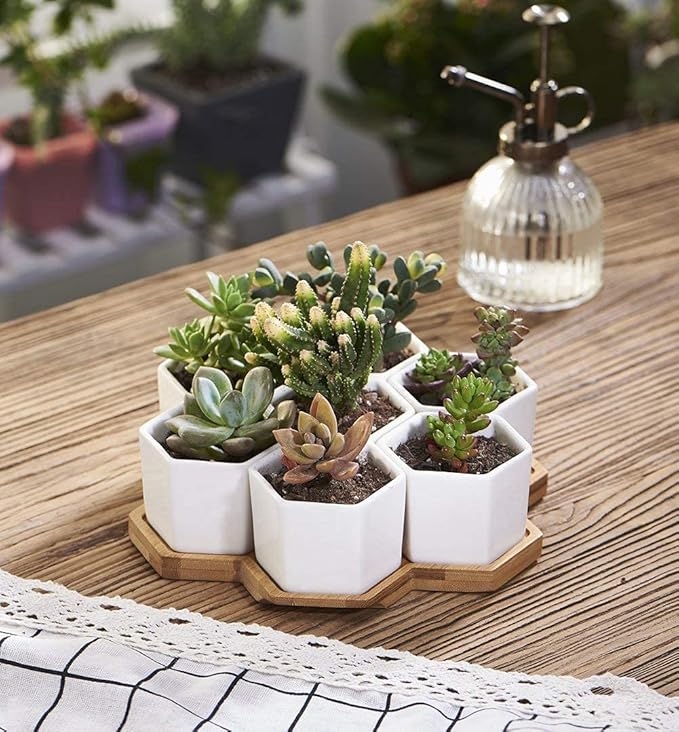 FLOWERPLUS Planter Pots Indoor, 7 Pack 2.75 Inch Modern White Ceramic Small Hex Succulent Cactus Flower Plant Pot with Bamboo Tray for Indoors Outdoor Office Home Garden Kitchen Decor (Hexagon)