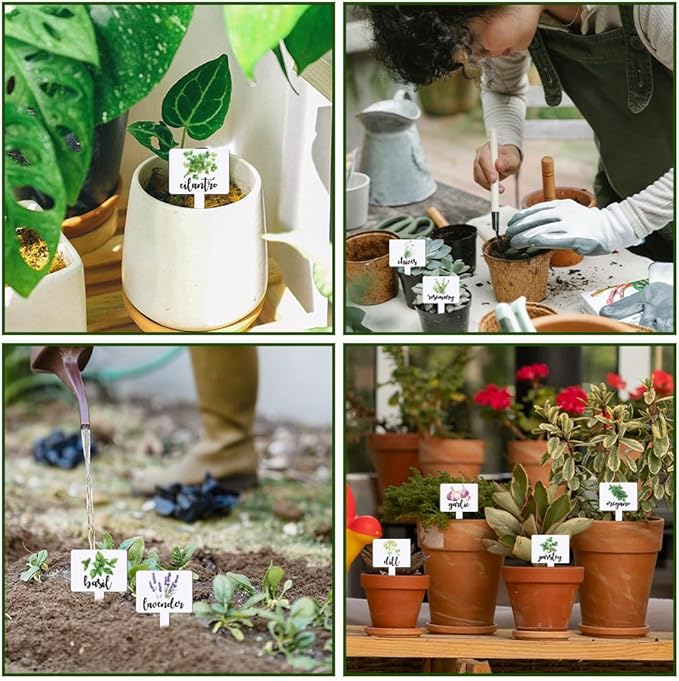 arricraft 15 Pcs Acrylic Plant Label Signs, Herbal Themed Waterproof Garden Stake Labels T-Shaped Plant Marker with Herbal Names for Indoor Outdoor Potted Plants Nursery Marker Decoration