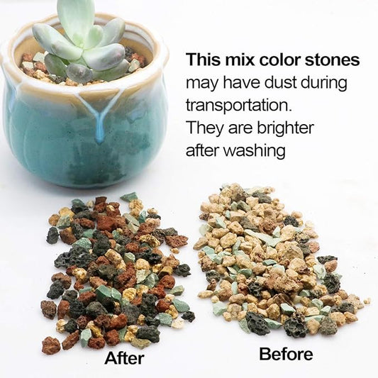 Mix Horticultural Lava Pebbles Pumice Potting Soil Amendment Succulent Cactus Bonsai Gritty Rock Decorative Gravel Plant Drainage Volcanic Rock for Terrarium Fairy Gardening Top Dressing 2.2lb