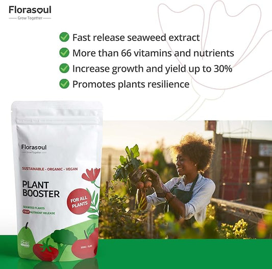 Florasoul® Odorless Organic Seaweed Fertilizer Flakes (2.2 lbs) – Water-Soluble Kelp Extract – Vegan & Plant-Based Nutrient Booster – No Fishy Smell – Makes 250+ Gallons