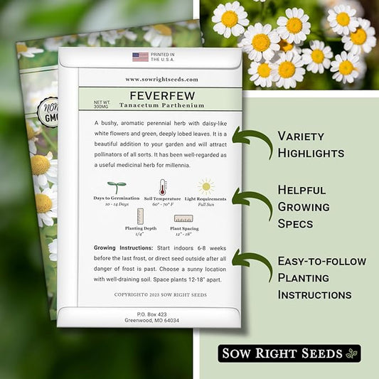 Sow Right Seeds - Feverfew Seeds for Planting - Non-GMO Heirloom Packet with Instructions to Plant an Outdoor or Indoor Herb Garden - Traditional Medicinal Herb, Make Tea & Extract for Migraines (3)
