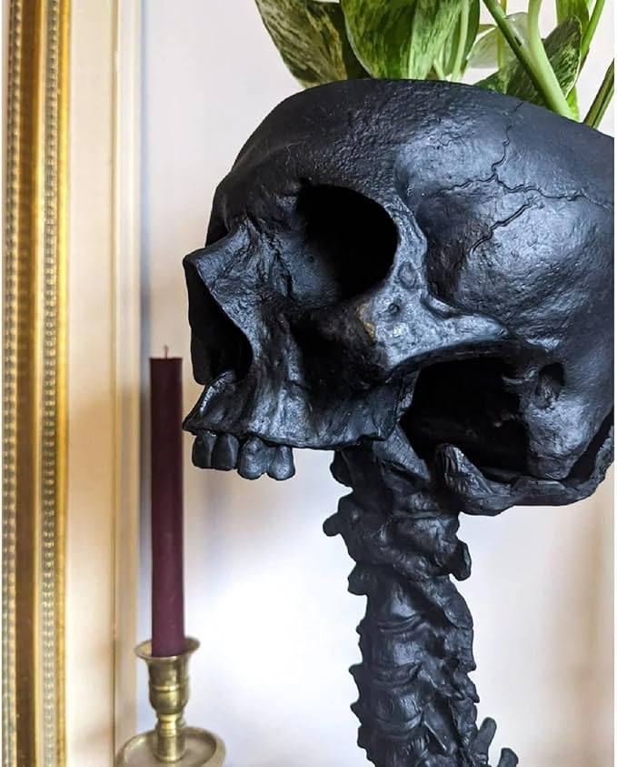 Skull Planter Gothic Skull Vase, Resin Skulls Bowl with Spine Stand Spooky Halloween Skeleton Tall Planters Centerpiece for Gothic Home Decor, Flower Pot, Candy Bowl