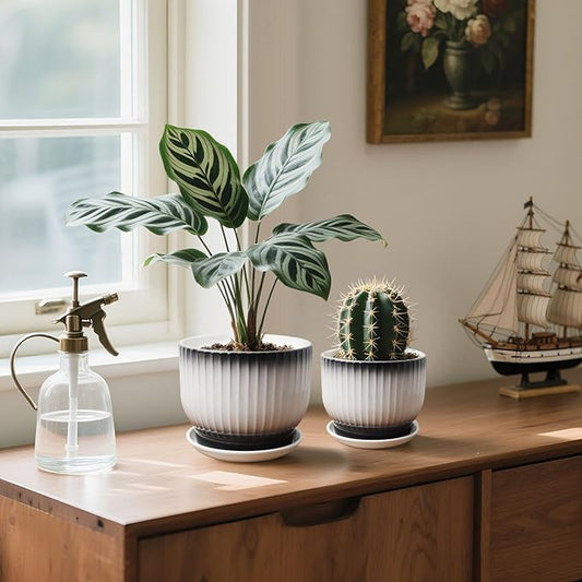 6.7 + 5.5 Inch Ceramic Plant Pots,Set of 2,Planters with Drainage and Saucer,Indoor Pots for Plants,Modern Flower Pots for Home and Office(Black + White)