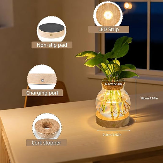 Plant Propagation Station with Light, Valentines Day Glass Terrarium with Stepless Dimming Function Hydroponic Glass Container Vase Jars Gardening Gifts for Mom Women Plant Lovers