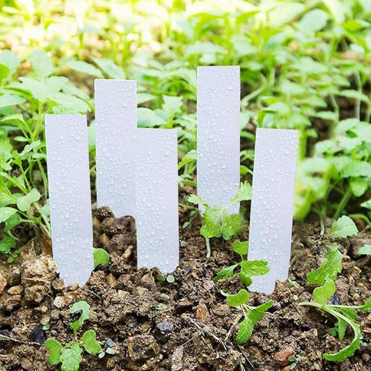 100 Pcs Plastic Plant Seed Labels Pot Marker Nursery Garden Stake Tags (White)