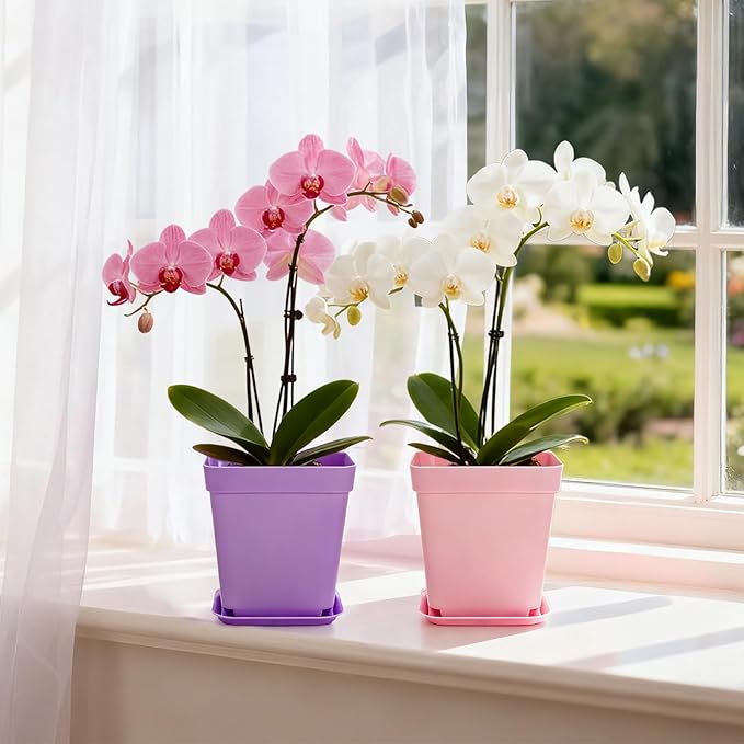 Hedume 70 Pack Mini Plastic Flower Seedling Nursery Pot with Pallet, 3" Colorful Square Plant Pot, Indoor Outdoor Flower Plant Container, Decor for Room, Garden, Office and Balcony (7 Colors)