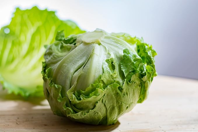 Lettuce Seeds for Planting Variety Pack - 5 Types of Lettuce - Buttercrunch, Parris Island Cos, Oakleaf, Little Gem, and Iceberg