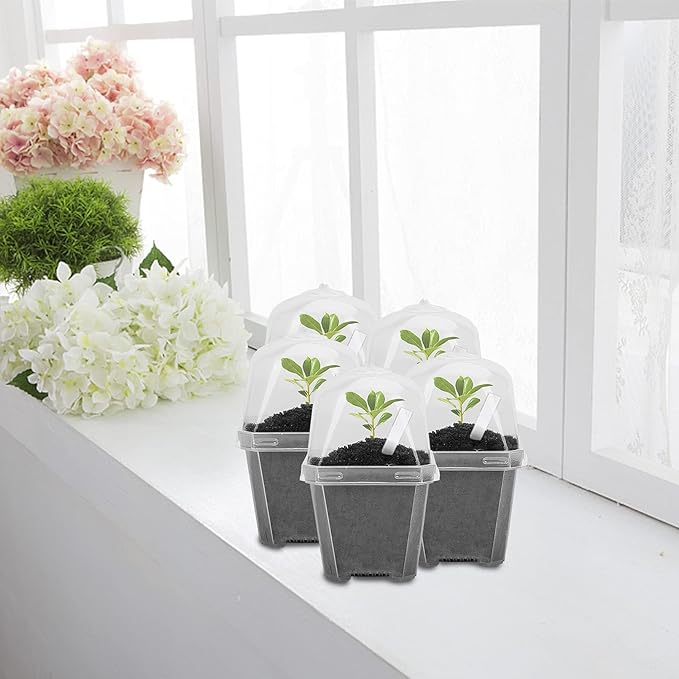 EBaokuup 10PCS Clear Plant Nursery Pots with Humidity Dome - 3" Plastic Gardening Pot with Labels, Durable Plastic Plant Container for Seedlings/Vegetables/Succulents/Cuttings
