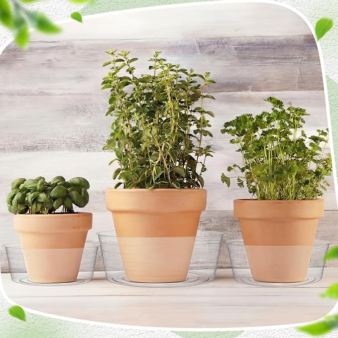 Hoolerry 15 Pcs Plastic Plant Saucer Clear Deep Drip Tray Thickened Clear Plant Saucers Trays for Pots Deep Drip Trays for Home Garden Indoor and Outdoor Potted (10,12,14 Inch)
