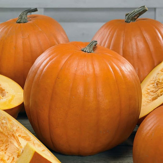 Eden Brothers Pumpkin Seeds - Youngs Beauty