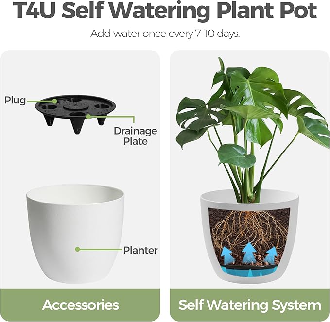 T4U 7 Inch Self Watering Planters Plastic Plant Pot, Modern Decorative Flower Pot/Window Box for All House Plants, Flowers, Herbs, African Violets, Succulents - White, Set of 6