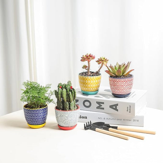 Selamica Ceramic Succulent Pots, 3.5 Inch Small Plant Pots for Indoor Plants Cactus Herbs, Succulent Planters with Drainage Holes & Saucers, Home Decor, Set of 6, Assorted Colors