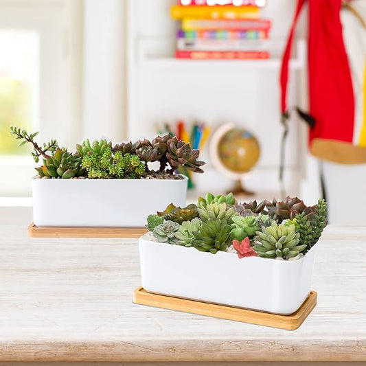 White Ceramic Succulent Planters, Indoor and Outdoor Succulent Planters, Set of 2 Small Cactus Containers, Bonsai Pots, Flower Pots with Drainage Hole and Bamboo Bowl (No Plant)