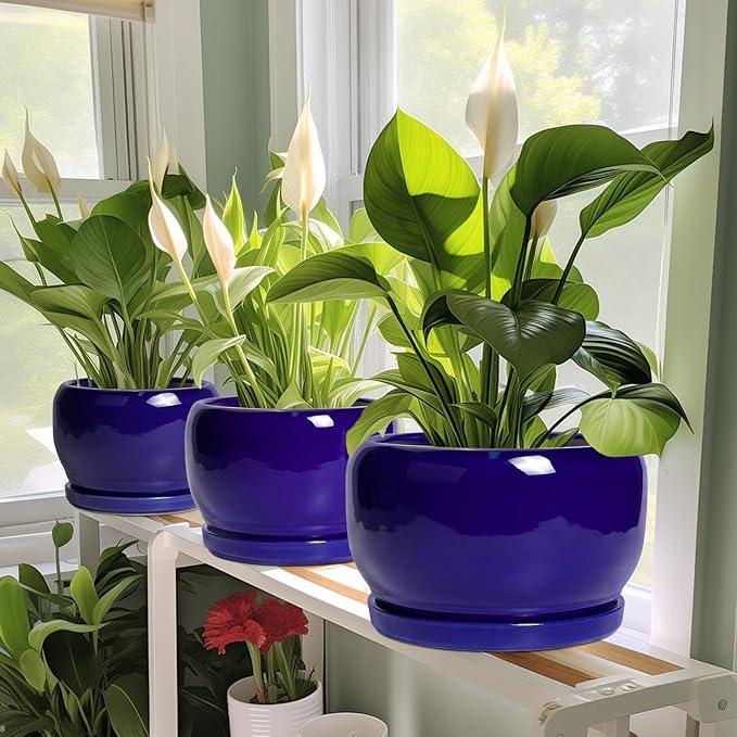 SQOWL 8 Inch Plant Pot - Ceramic Planter for Indoor Plants Outdoor, Ceramic Flower Pot with Drainage Hole and Saucer, Modern Round Planter, Bathroom Decor, Gifts for Plant Lovers, Blue