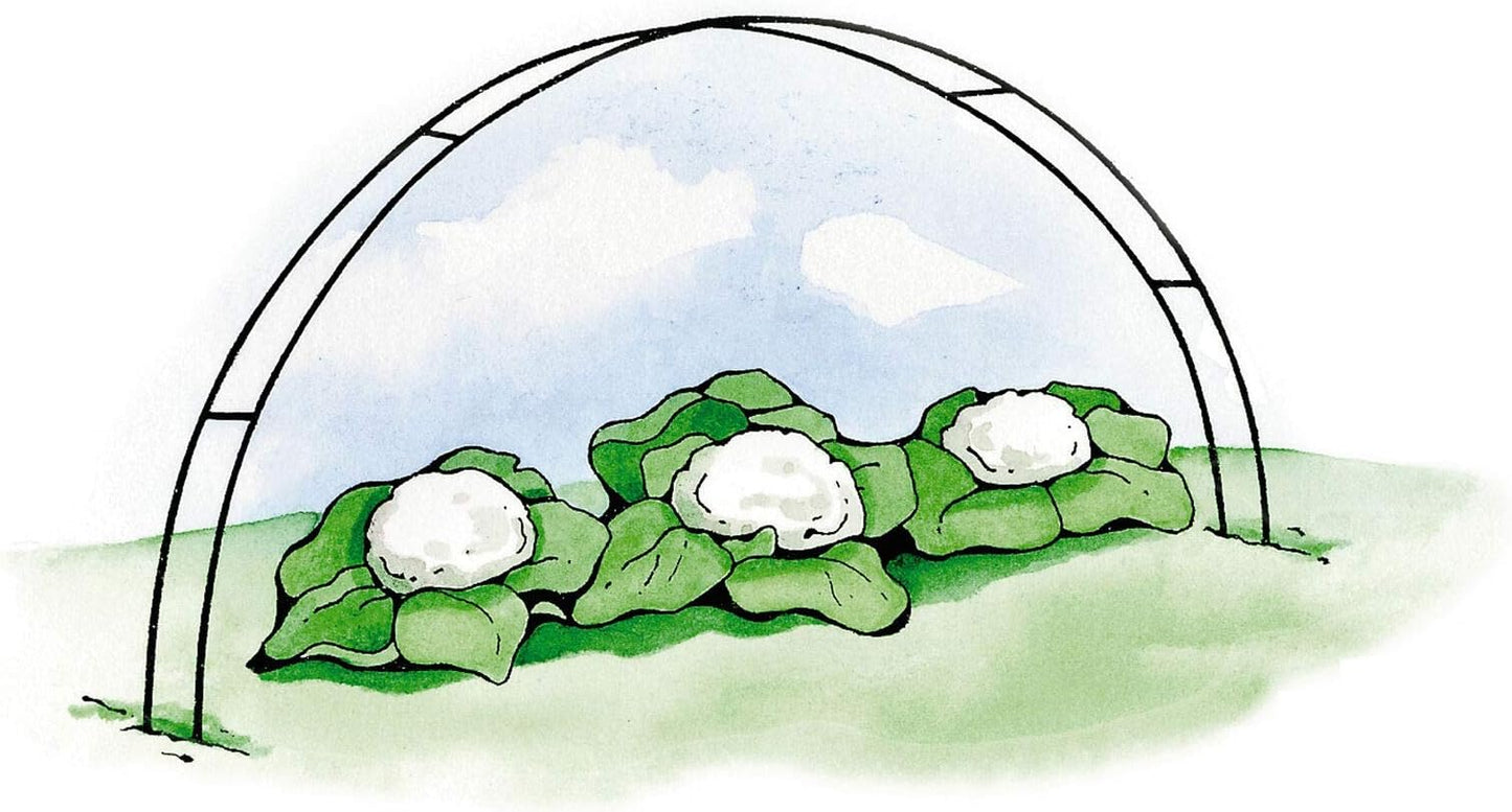 Gardener's Supply Company Garden Hoops Grow Tunnel Support | Greenhouse Arch Frame for Raised Bed Plants & Vegetable Planter Box | 58" L x 4" W (Set of 6)