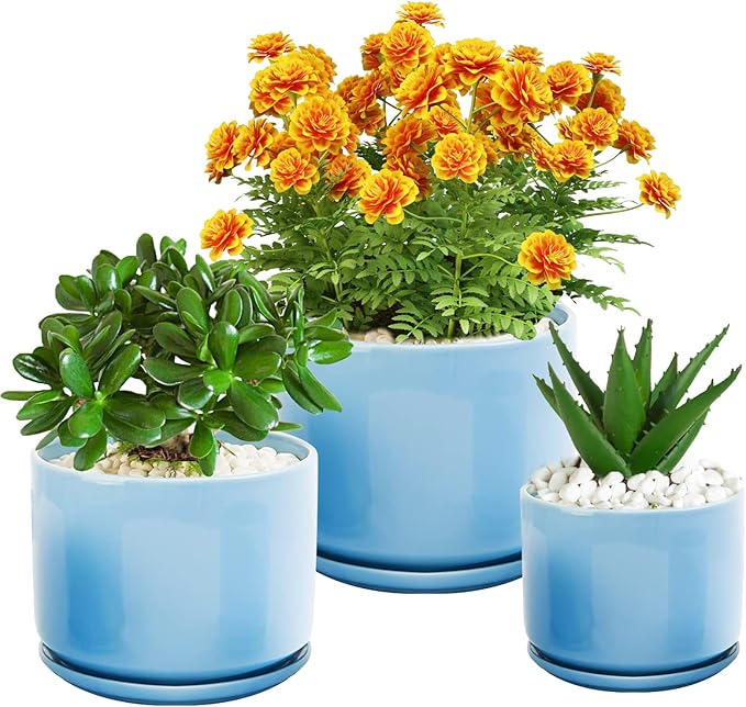 EFISPSS Plant Pots, Flower Pots Planters with Connected Saucer, Round Modern Decorative Succulent Gardening Pot with Drainage Hole for Plants Flowers Herbs - Set of 3 (Blue)