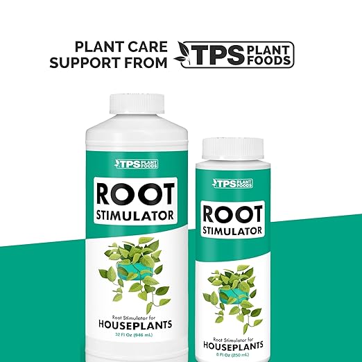 Root Stimulator for Indoor Plants – Liquid Root Booster with Probiotics & Seaweed to Support Healthy Root Growth, 8 oz
