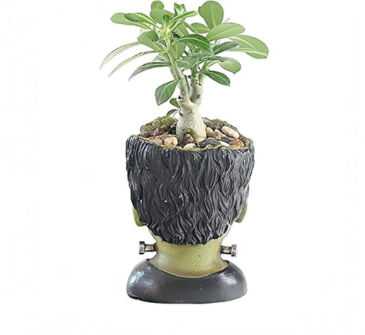Funny Planter Head Planter Succulent Pot with Drainage Hole Fairy Garden Resin Cactus Plant Pot Pencil Holder Desk Storage Gift for Women Men(Frankstein)