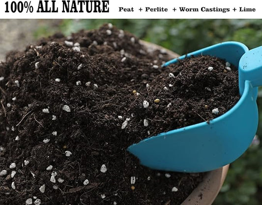 Houseplant Potting Mix 10qt, Fertilized, Perlite Soil for All Types of Indoor House Plants and Tropical Plant