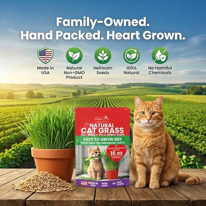 NatureZ Edge Premium Cat Grass Seeds for Indoor Cats, Non GMO - 1 lb Oat, Wheat, Barley & Rye Grass for Indoor Cats, Cat Plant, Kitty Lawn, Pet Grass, Hierba para Gatos, Made in USA