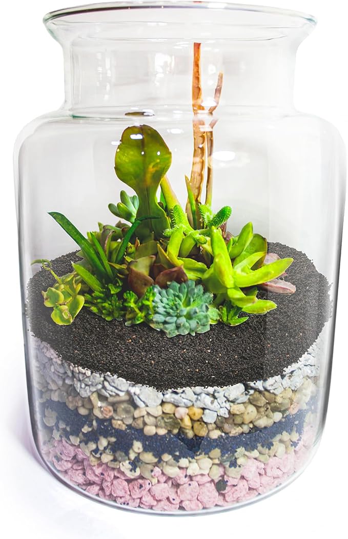 TOPZEA 12 LB Black Lava Rocks Sand for Plants, Potting Soil Decorative Landscaping Gritty Pumice, Crushed Volcanic Stone Gravel for Bonsai Succulent Cactus, Top Dressing, Vase Filler, Fairy Gardening