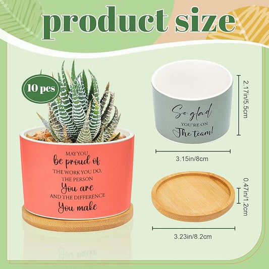 10 Pcs Thank You Gift Employee Appreciation Gift Succulent Pots Mini Ceramic Plant Pot with Bamboo Tray Succulent Planter for Coworker Employee Vet Tech Medical Assistant, Plant Excluded