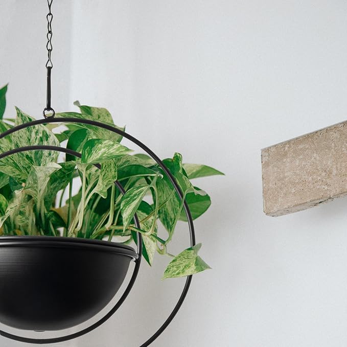 Hajia 1 Pack Moon Shaped Hanging Plant Holder with 8 Inch Detachable Pot, Black Metal Plant Hanger for Indoor Outdoor, Minimalist Hanging Planter for Wall Ceiling Decor.(with Drainage Holes)