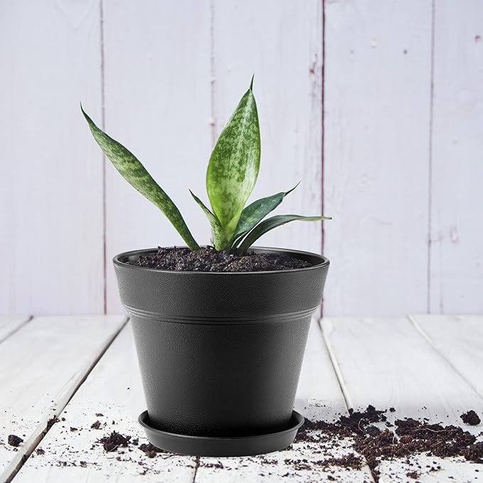 10 Pack Plastic Plant Pots with Drainage Holes and Tray, 6 inch Thickened Indoor Planters Seedlings Nursery Pots for Flowers, African Violet, Succulent and All House Plants, Black