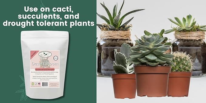 Succulent and Cacti Soil, Organic. 5lb Bag with Biochar, Mycorrhizae, Pumice Stone, Pine Bark Fines, and Silica Sand. for Cactus, Palm, Succulent, and All Other Desert Plants.